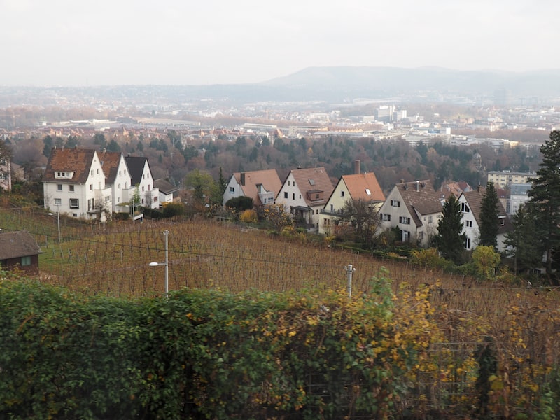 ... und laben uns an Aussichten wie diesen : Stuttgart genießt den Ruf einer ausgezeichneten Weinstadt und hat selbige sogar mitten in der Stadt!