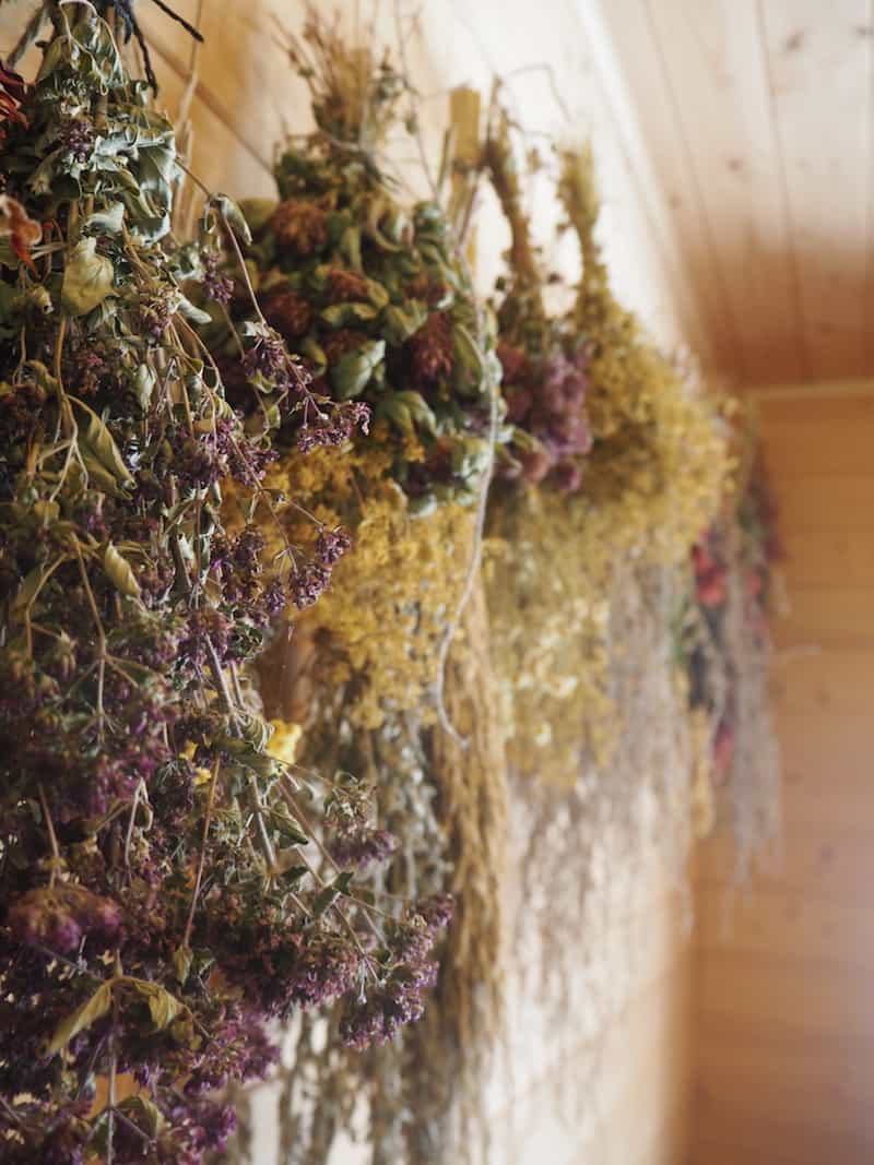 Welcome to the wonderful aromas of dried herbs & flowers at the sauna ...