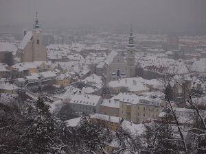 Einen schönen Blick auf die eigene Stadt gewährt so eine Winterwanderung über den Weinterrassen von Krems!