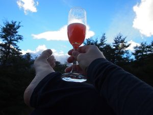 Ein Hoch auf unsere Reise: Mit Erdbeer-Pisco Sour genießt es sich einfach besser ;)