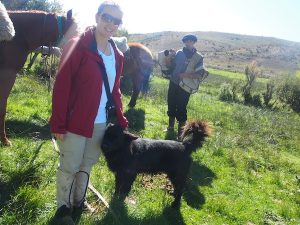 Mein erster Kontakt zum argentinisches Netzwerk von „Urlaub am Bauernhof“ verläuft an einem strahlenden Sommertag Ende Februar nahe der Stadt Bariloche.