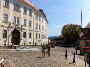Die Stadt Krems im Herzen der Donauregion Wachau zieht als internationale Studenten- und Tourismusstadt jährlich Tausende Besucher an. Hier zu wohnen, zu leben und zu arbeiten ist für mich als internationale Sprach- und Tourismus-Expertin ein schönes Gefühl!