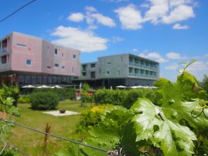 Das Wine & Spa Resort LOISIUM Hotel: Ein echter Geheimtipp für Wellness & Kulinarik-Fans!