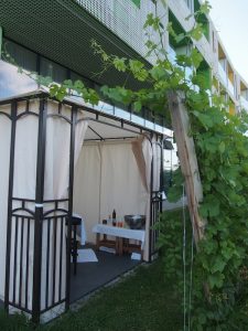 Im Sommer wandert der Massagetisch einfach vor die Fassade des Hotels und hinein in die hoteleigenen Weingärten ... Herrlich. Die Outdoor Summer Massage mit Traubenkernöl & einem Glas Riesling im Anschluss hat es in sich und ist schon alleine als Erlebnis wirklich empfehlenswert.