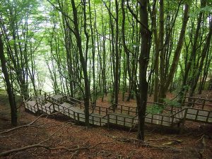 Vorbei an einem steilen Waldstück, steigt man direkt hinab an die Küste und ans Meer.