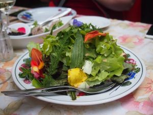 Ich liebe den frischen Blütensalat sowie das ausgezeichnete biodynamische Heurigenbuffet der Familie Saahs am Weingut Nikolaihof. Hier muss man einfach gespeist haben!