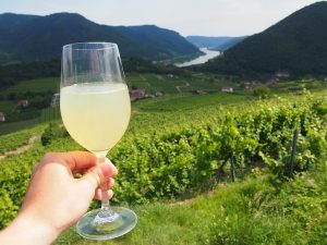 Prost Ihr Lieben! Ein Hoch auf die Donau in Niederösterreich sowie die Wachau als einzigartige Kulturlandschaft & Weinheimat.