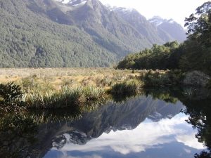 The Mirror Lakes on the same road are famous for their pristine waters reflecting the towering massive of the Southern Alps.