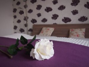 Das Rosenzimmer in den Ferienwohnungen der Familie Bauer in Gutenbrunn besticht durch modernste Ausstattung bei viel Komfort.