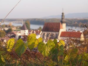 Lieblingsbild Nr. 6: Beim Blick über die Weinberge wird die Sicht auf die Stadt Krems an der Donau erst richtig schön.