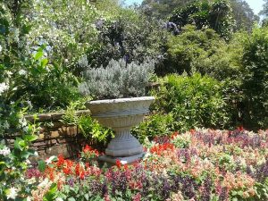 Der Besuch des Botanischen Garten von Durban lohnt sich! / Foto: Antonia.