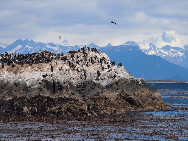 Und noch eine Szene wie aus dem National Geographic Channel … Segelturn im Beagle Kanal des Südpazifikmeeres nahe der Stadt Ushuaia.