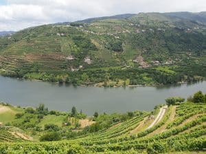 Geschätztes Douro-Tal, liebes Portugal, liebe Stadt Porto: Ich komme wieder. Und zwar bald !!! :D