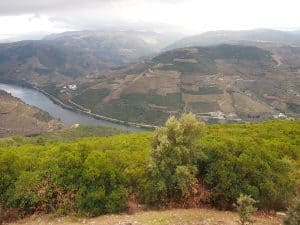 Zu guter Letzt lohnt der Blick vom Miradouro do São Leonardo da Galafura, einem der besten Aussichtspunkte über das gesamte mittlere Douro-Tal.