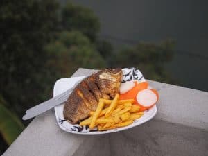Enjoy your meal: Fresh fish from the lake!