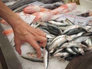 ... is Campo de Ourique Market itself, where sardines & codfish, a Portuguese classic, are there to greet us ...