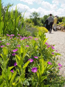 … vorbei an den Begegnungen des "Garten der Religionen" im Stiftspark von Altenburg ...