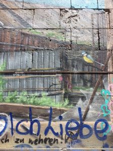 Immer wieder verleiten uns die Street Art Graffiti-Motive Wiens, wie etwa hier am Wiener Donaukanal, zur Fotografie mit der Polaroid-Kamera.