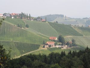 ... inmitten der zauberhaften Weinregion der Südsteiermark.