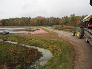 ... and go for a ride with the tractor, teaching us more about the way cranberry fields are farmed and harvested.