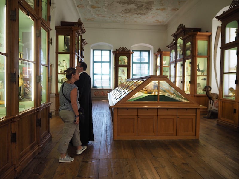 ... aufgrund der facettenreichen Ausstellung hier, die vom kleinsten Kolibri Südamerikas bis hin zu den schrillsten Insekten reicht, die (reisende) Schüler des Stiftes im Laufe vieler Jahrhunderte zusammengetragen haben.