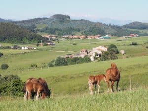 ... or just relax and enjoy the surrounding landscape (including a view of the "Picos de Europa")!
