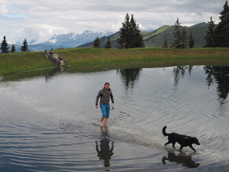 Besser ist es da, mit Herrchen durch den Spiegelsee zu laufen ...