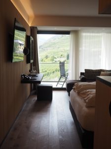 ... auch die modernen Gästezimmer eröffnen den Blick stets in die schöne Weinterrassenlandschaft der Wachau ...
