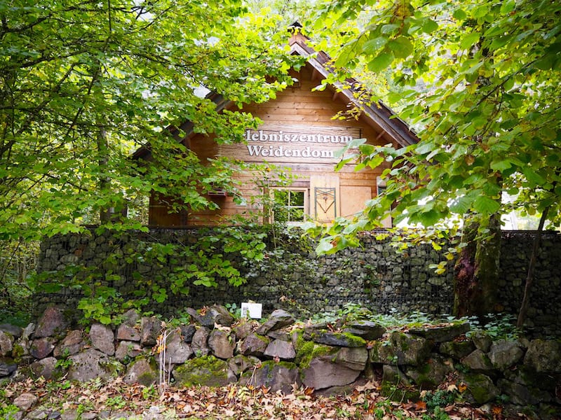 ... aber auch das sehr charmant gestaltete, zum Mitmachen einladende Erlebniszentrum "Weidendom" am Eingang zum Nationalpark Gesäuse ...