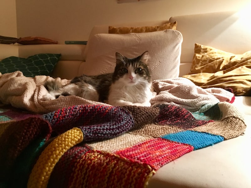 ... oder es sich einfach nur auf der Couch mit ihrer königlichen Katze Anouk bequem zu machen ...