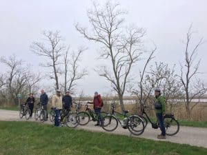 Ein typisches Bild vom Neusiedlersee: Unterwegs mit unseren schicken E-Bikes zur Vogel- und Naturbeobachtung an den Neusiedlersee ...