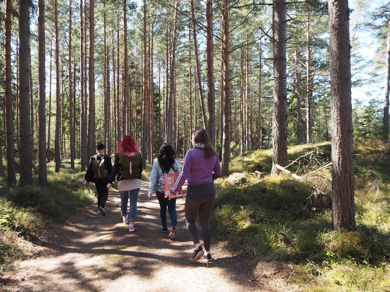 ... die uns tief und tiefer in den Wald hineinführen, bis hinunter an die Küste der Insel mit dem offenen Meer ...