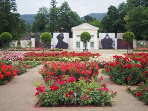 Vorbei an den ersten großformatigen Bildern des Fotofestivals "La Gacilly", welches vier verschiedene Frauen aus unterschiedlichsten Kulturen im Rosarium des Doblhoffparks in Baden zeigt ...