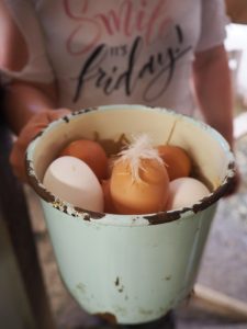 ... und die Eier der glücklichen Hühner ...