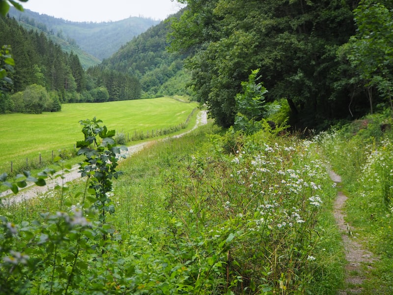 Etwas weiter weg lockt die das Stift umgebende Natur zu einem ausgedehnten Spaziergang ...