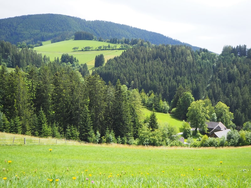 Ich weiß ja nicht, wie es Euch geht, aber die Landschaft ist echt ein Traum hier finde ich ...