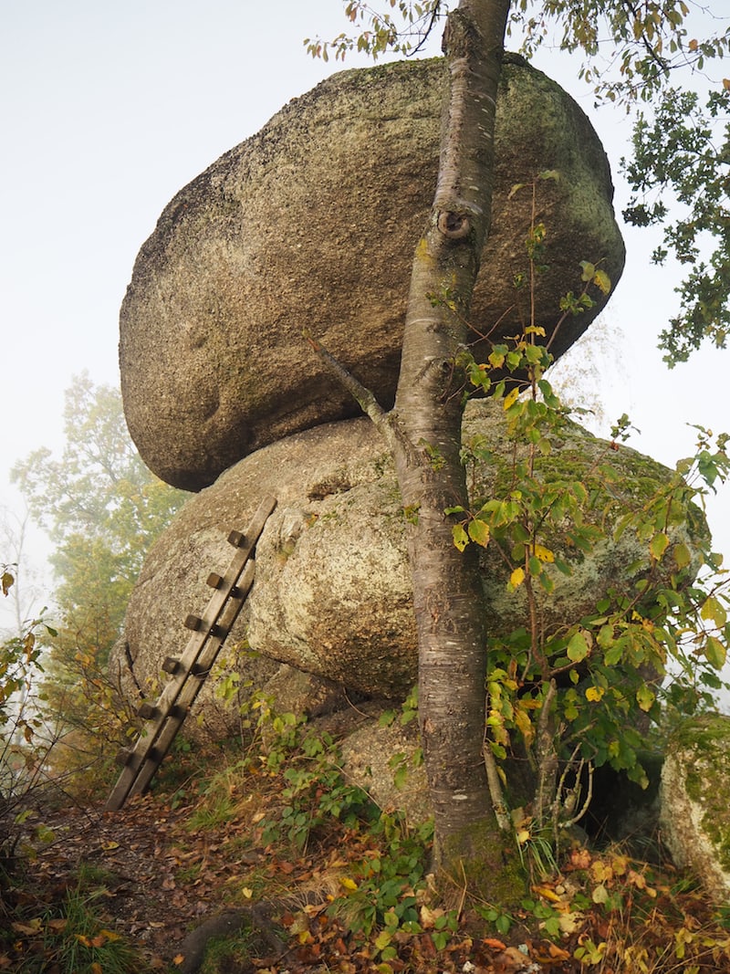 Our arrival at the Schmiedberger family's organic farm is marked by a magical sight: The "Schwammerlstein" (mushroom stone) rises mystically out of the morning mist of the autumnal Mühlviertel and invites you to climb up the wooden stairs right next to the entrance to the farm.