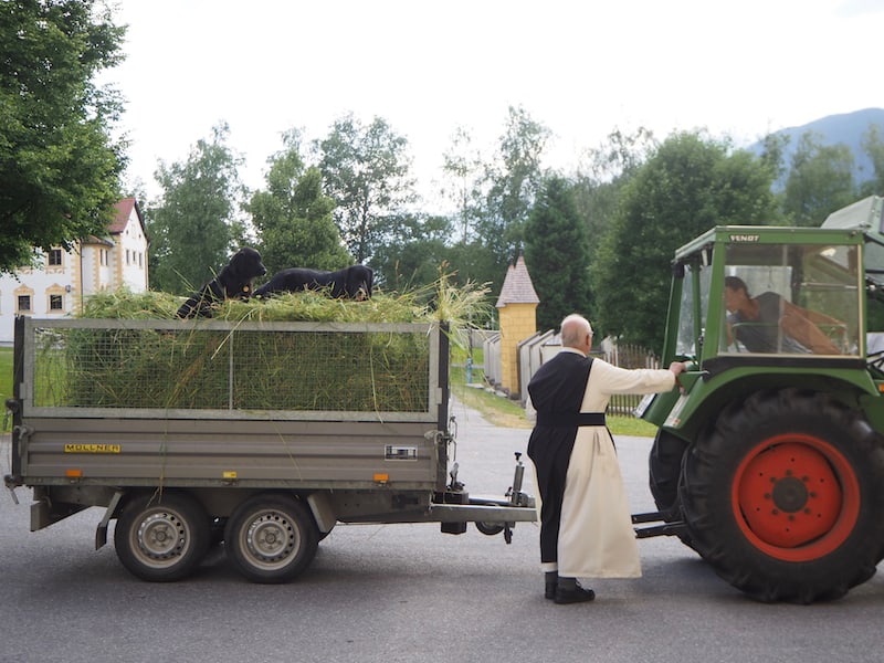 Das Stift Stams ist durch und durch von der umgebenden Landwirtschaft geprägt, wie auch dieses Bild - aufgenommen vor der großen Eingangstür - eindeutig belegt.