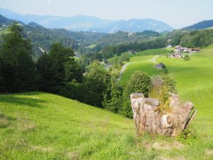 Blick auf das Landschaftskino Bregenzerwald von Hittisau aus gesehen, direkt hinter dem Frauenmuseum.