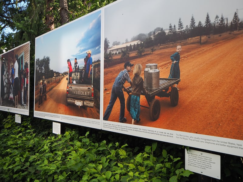 We continue over to Gutenbrunn Park: Here, under the motto "Honey of the Gods", photographer Nadia Shira Cohen presents the situation where the Mennonite people, immigrants from the USA, are contesting land - and thus traditional honey-growing areas - from the indigenous people living in Mexico.
