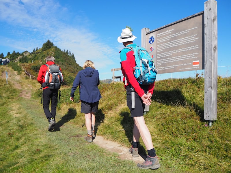 Mit dem Botaniker Günther Bischof (links außen im Bild) erkunden wir das Wandergebiet Stafelalpe in Faschina entlang des sogenannten Blumenlehrpfades ...