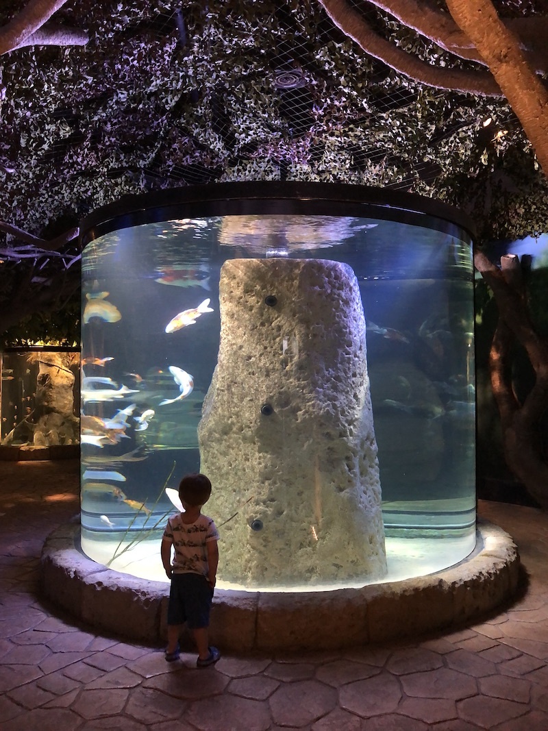 Familien empfehlen wir übrigens auch den Besuch des Malta National Aquarium ...