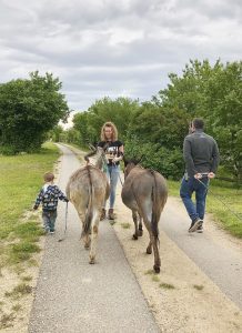 Los geht's bei der Eselwanderung ...