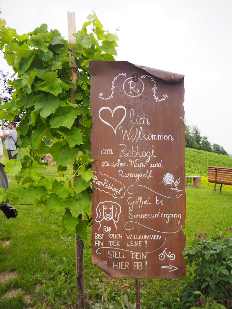 Unser Besuch #AmRebkogl führt uns hinauf in den Rosengarten des Familienweinguts ...