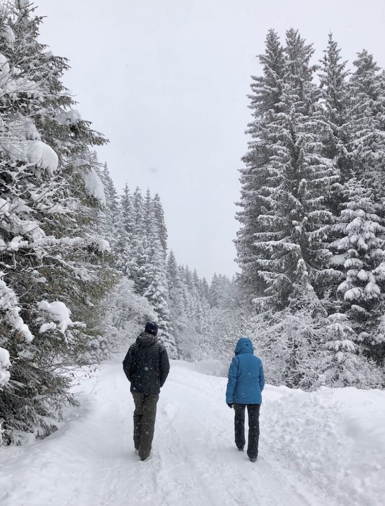 Let's get started on the guided winter hike with Hans Naglmayr: from the middle station of the Schlossalm cable car we soon leave the ski slopes behind us ...