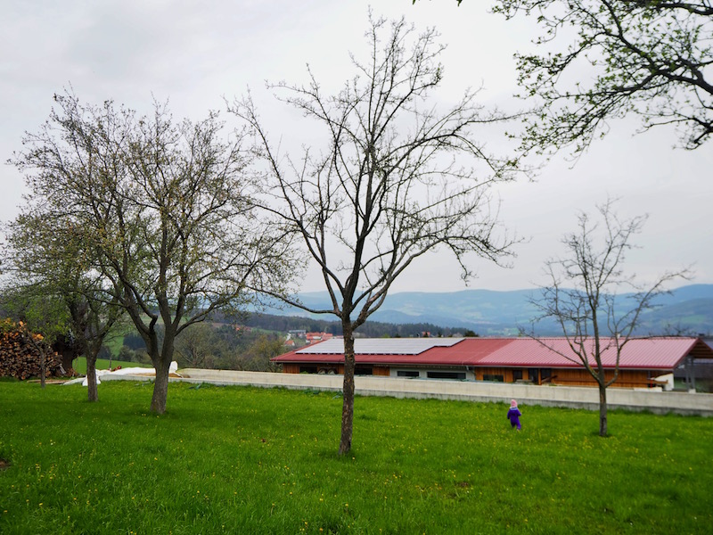 The orchards around the farm are in full bloom in April. The landscape is also a real treat!