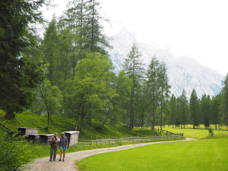 By the way, the hike only takes place during the summer months of June and July; it is best to register in advance via the tourist office or the Karwendel Nature Park.