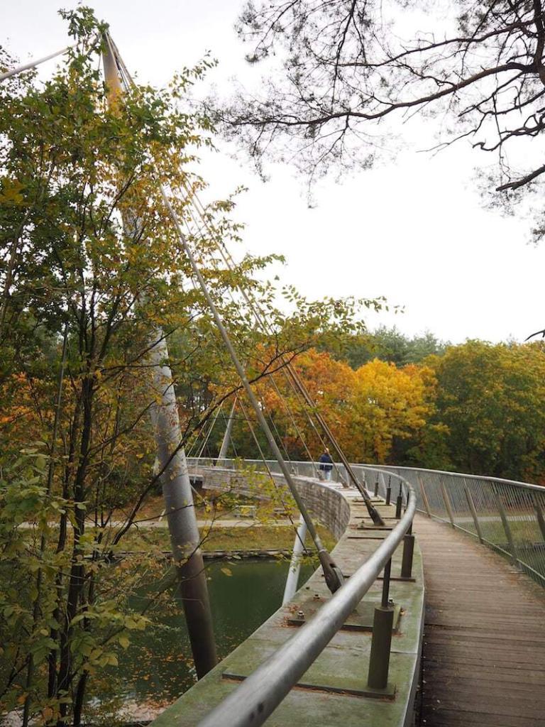 A bridge in the nature of Lommelse Sahara - the "Belgian Sahara" as part of the Bosland National Park