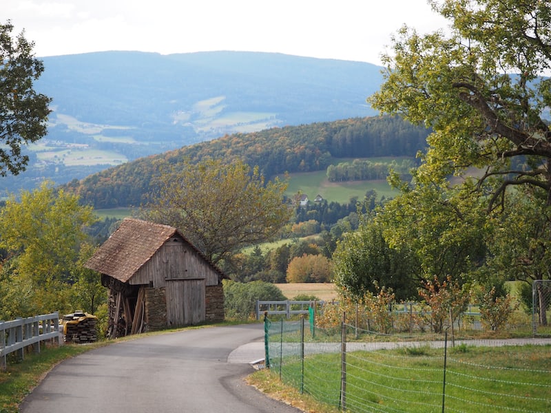 Ankommen am Hof der Familie Buchegger ist jetzt, im Herbst, ein kleines bisschen Landschaftsmalerei ...