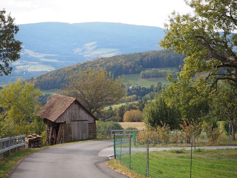 Ankommen am Hof der Familie Buchegger ist jetzt, im Herbst, ein kleines bisschen Landschaftsmalerei ... 